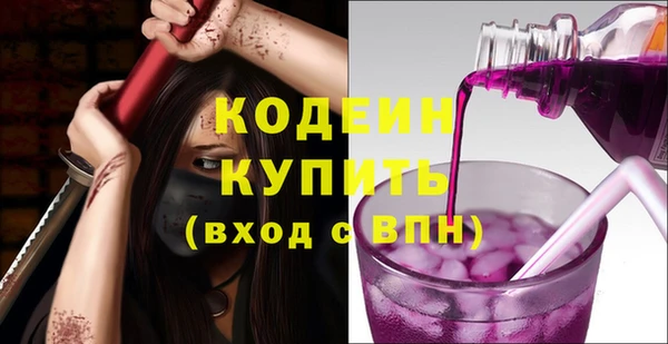 дживик Бронницы