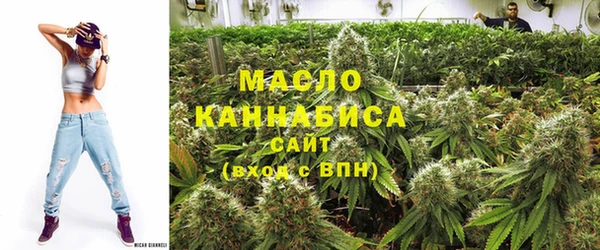 дживик Бронницы
