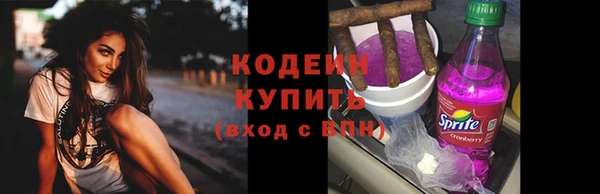дживик Бронницы