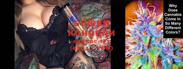 дживик Бронницы