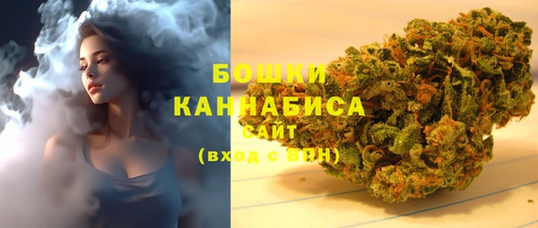 дживик Бронницы
